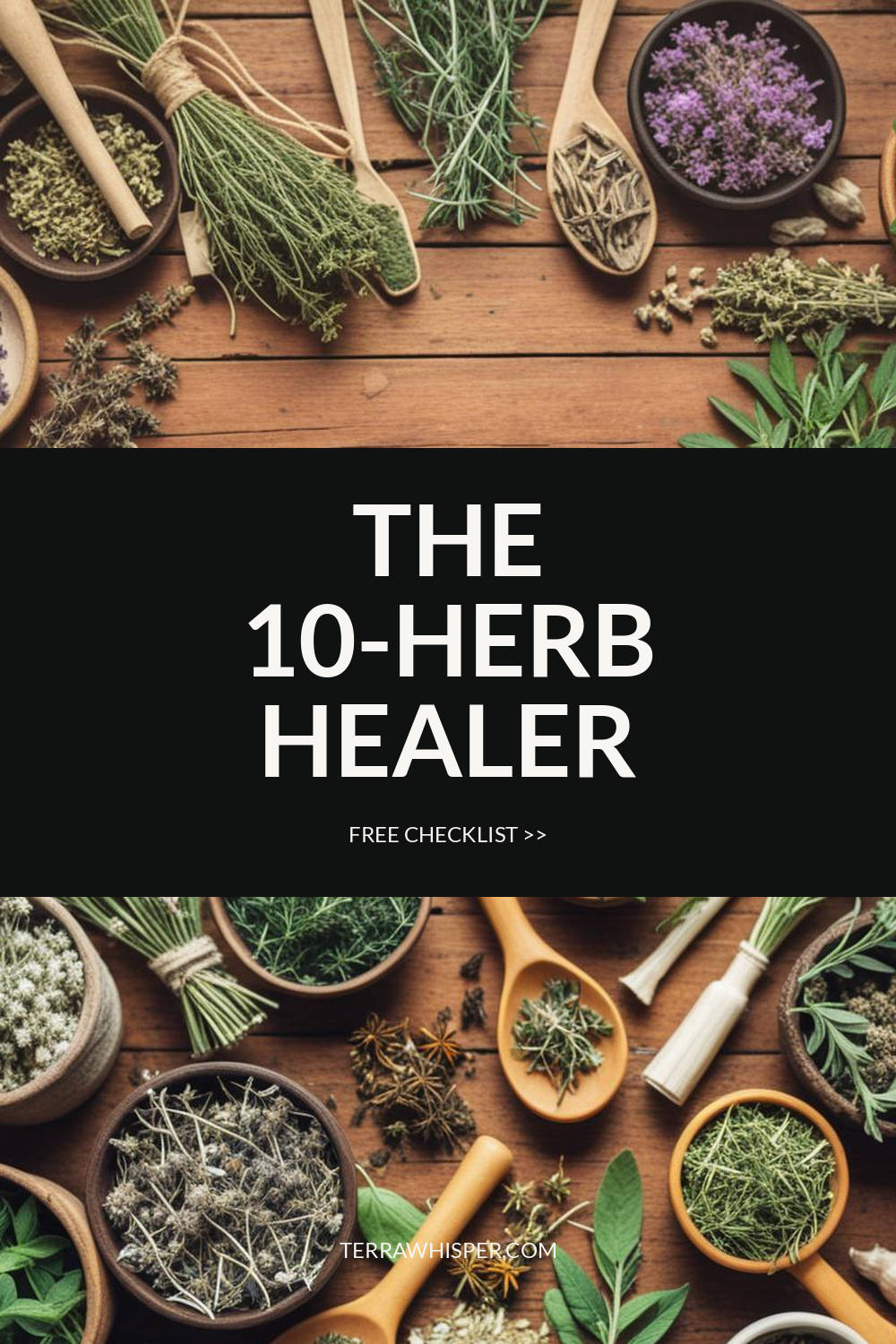 10 herbs that heals 90% of common ailments