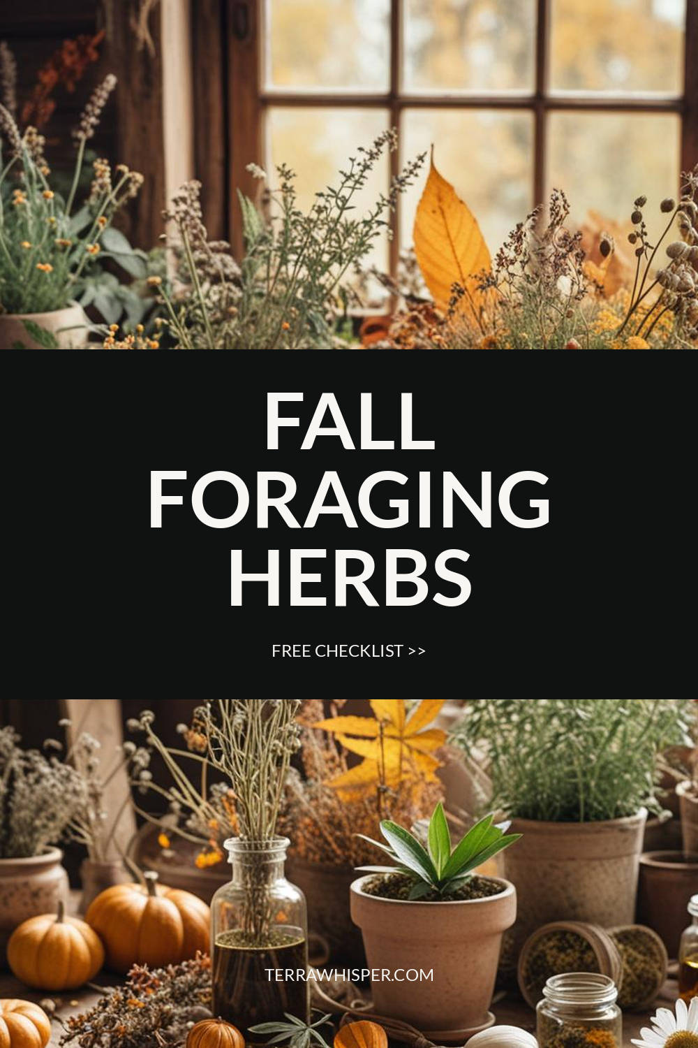 fall foraging herbs checklist banner